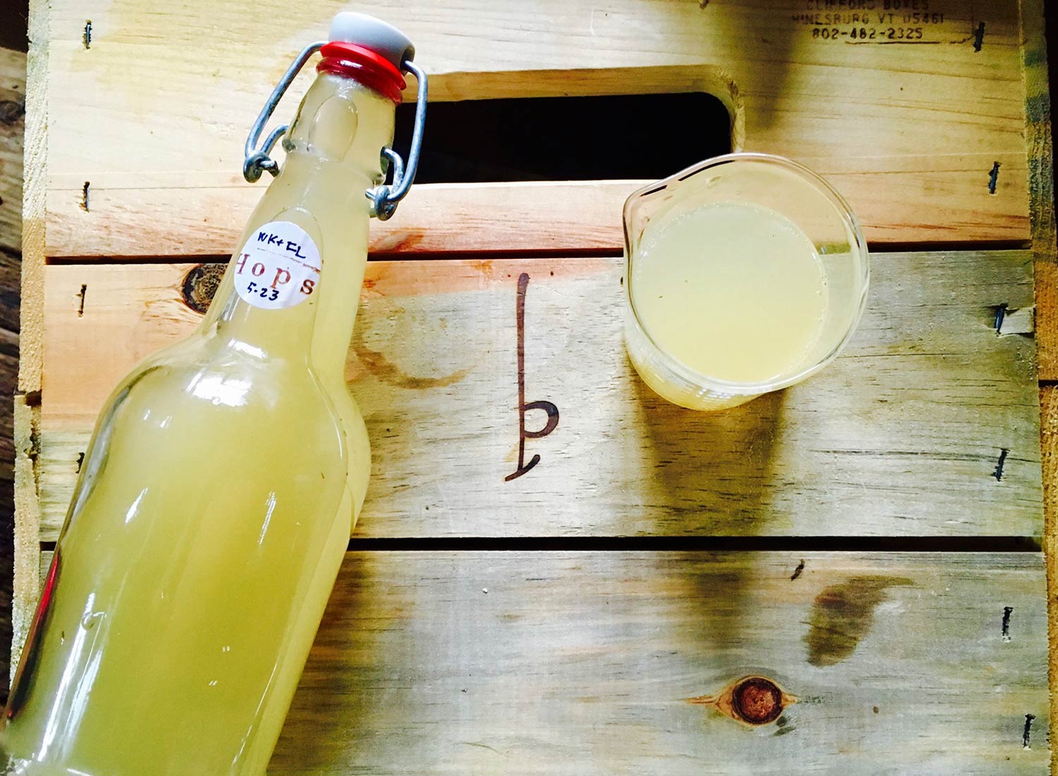 Food Lab at SHO: vegan gastronomy in a cold climate | wild hop-infused probiotic water kefir