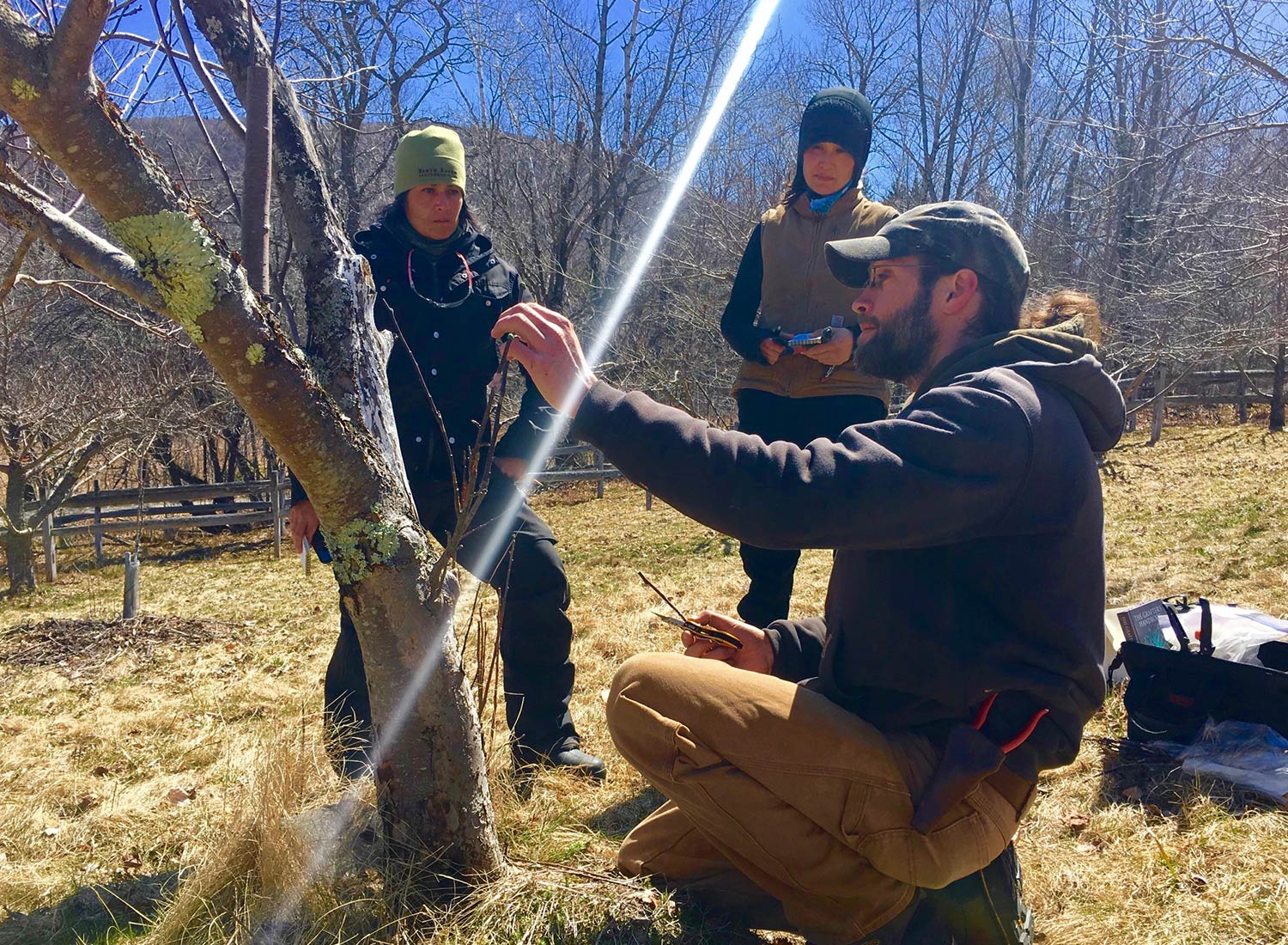 SHO Farm: vegan wild farming in a cold climate | grafting tutorial with our horticulturist, zach leonard of high hopes orchards